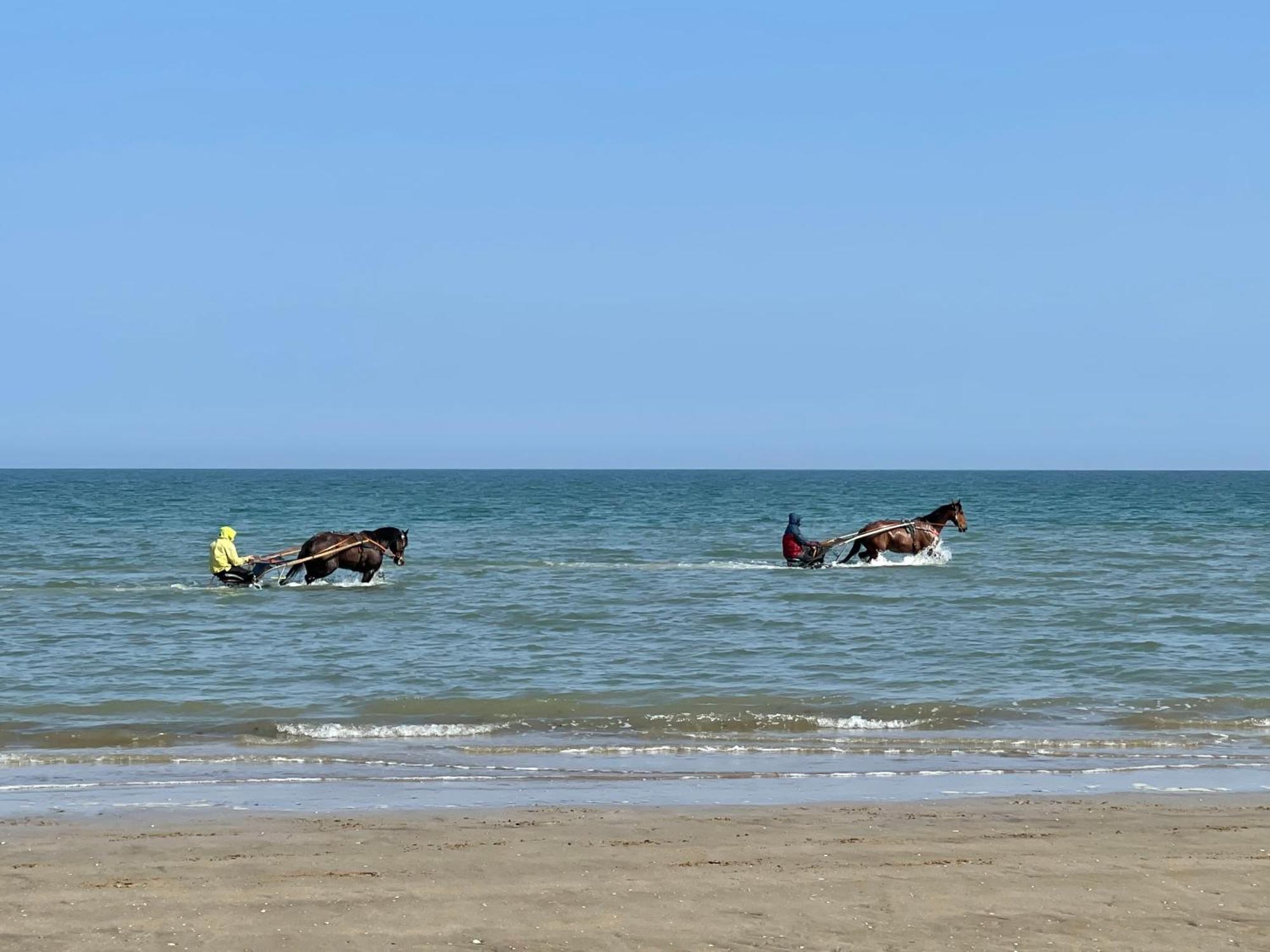 Pressoir De La Mare Superhote 12 Minutes De Cabourg Goustranville 외부 사진